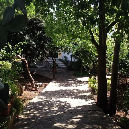 Il Giardino Di Silvia * Cardillo
