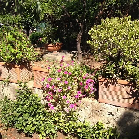 Bed & Breakfast Il Giardino Di Silvia